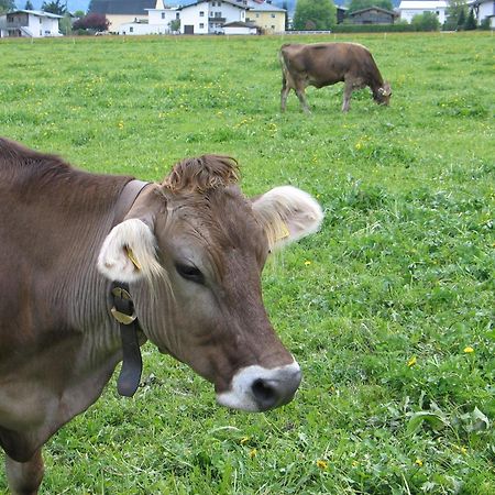 Apart Tyrol Uderns Ngoại thất bức ảnh